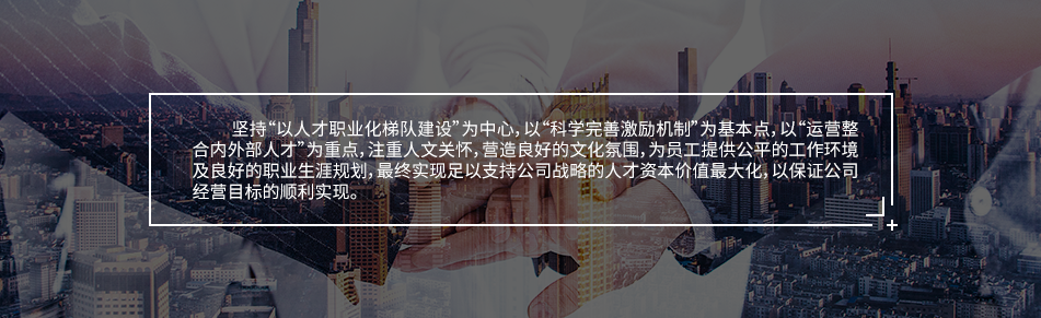 人才战略.png