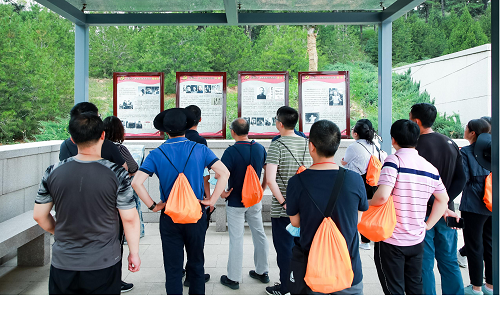 图片16.png